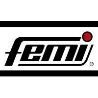 FEMI